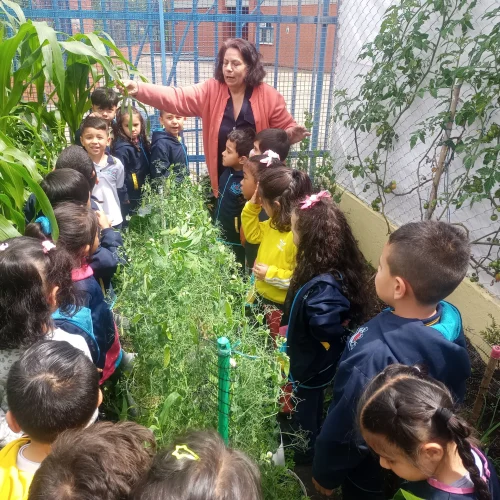 ninos-explorando-la-huerta